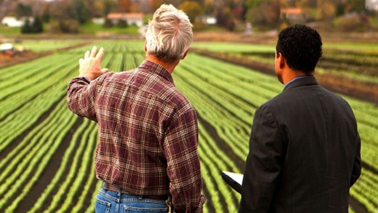 Agricultural Business